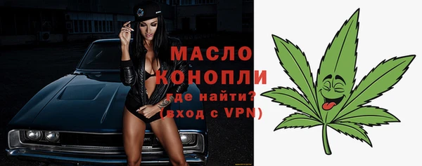твердый Арсеньев