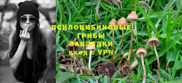 каннабис Аркадак