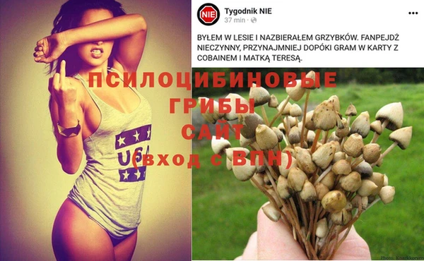 каннабис Аркадак