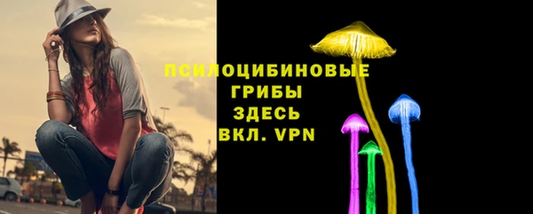 твердый Арсеньев