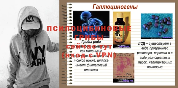 молекула духа Армянск
